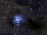 Iris Nebula