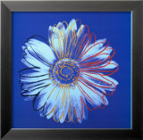 Daisy  c1982 (Blue on Blue)