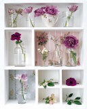 Caiser de Printemps