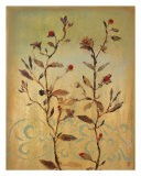 Fragile Spring II