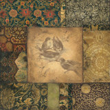 Avian Tapestry II