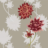 Dahlias