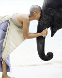 Nose to Nose  Thailand