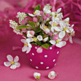 Flowers in Pink
