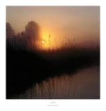 Peaceful Hush