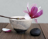 Magnolia and Bowl