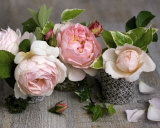 Trois Roses