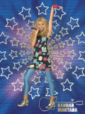 Hannah Montana: Rock the Stage