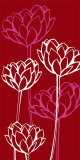Dahlias
