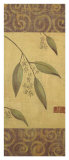 Eucalyptus Leaves I