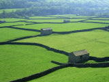 Swaledale  Yorkshire Dales  Yorkshire  England
