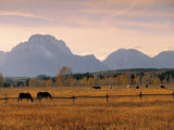 Jackson  Teton Range  Wyoming  USA