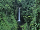 Afu Aau Waterfall  Savaii  Samoa