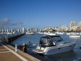 Port and Sailing Boats  Punta Del Este  Uruguay