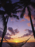Hammock on Beach  Danarau  Viti Levu  Fiji
