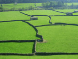 Swaledale  Yorkshire Dales  Yorkshire  England