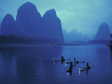 Cormorant Fishermen  Xingping  Li River  Guangxi  China