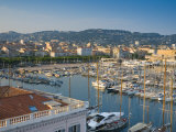 Cannes  Old Town Le Suquet  Vieux Port  Provence-Alpes-Cote D'Azur  France