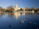The Capitol  Washington Dc  USA