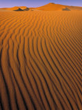 Sossusvlei Dune  Naukluft Park  Central Namib  Namibia
