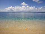 Colon Island Star Beach  Bocas Del Toro Province  Panama