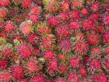 Lycee Fruits  Rambutan Fruit  Malaysia