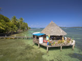 Cafe by Beach  Carenero Island  Bocas Del Toro Province  Panama