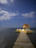 Caye Caulker  Belize