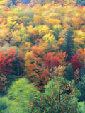 Maine  New England  USA