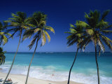 Bottom Bay  Barbados  Caribbean