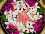 Floral Decoration  Pangkor Laut  Malaysia