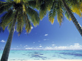 Tropical Beach  North Aitutaki Island  Cook Islands