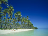 Plantation Island  Fiji