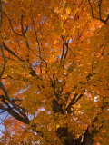 Gorham  New Hampshire  USA