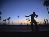 Venice Beach  Los Angeles  USA
