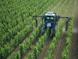 Vine Spraying  StEmilion  Bordeaux Region  Aquitaine  France