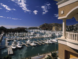 Cabo San Lucas  Baja California Sur  Mexico