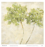 Watercolors III