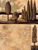 Tranquil Repose II