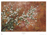 Wild Plum Blossoms
