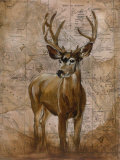 Nature Spirit I