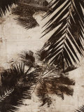 Palms I