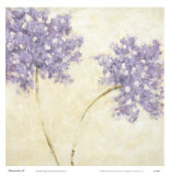 Watercolors II