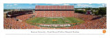 Clemson University