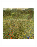 Garden Landscape