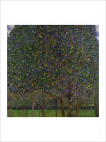 Pear Tree