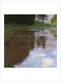 A Morning by the Pond