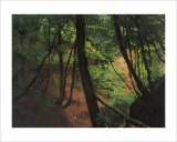 In the Middle of the Forest