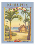 Manila Palm