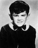 The Munsters